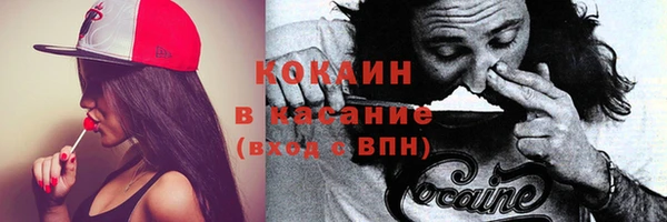 синтетический гашиш Дмитриев