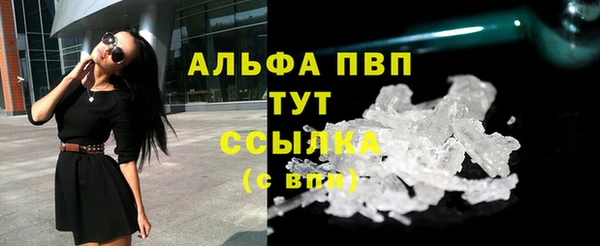стафф Дмитров