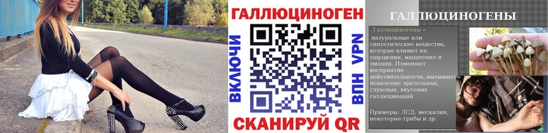 хочу наркоту  Заводоуковск  omg   Галлюциногенные грибы прущие грибы 