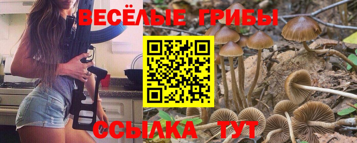 Заводоуковск  Галлюциногенные грибы ЛСД  Вход с VPN  Галлюциногенные грибы Magic Shrooms 